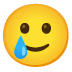 :smiling_face_with_tear: :smiling_face_with_tear: